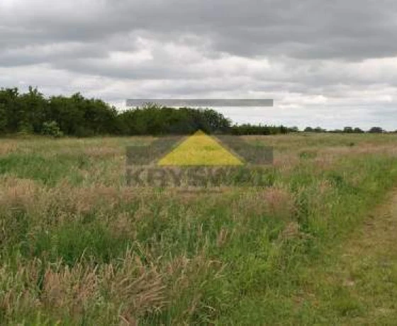 Gorzów Wielkopolski, Chróścik - 100000 zł (nr 795/2639/OGS)