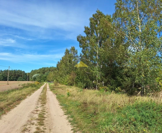 Działka na sprzedaż, Racław - 175 000 zł