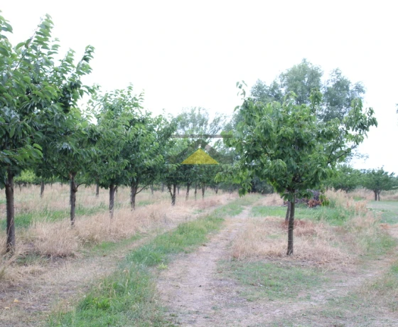 Gorzów Wielkopolski - 800000 zł (nr 913/2639/OGS)
