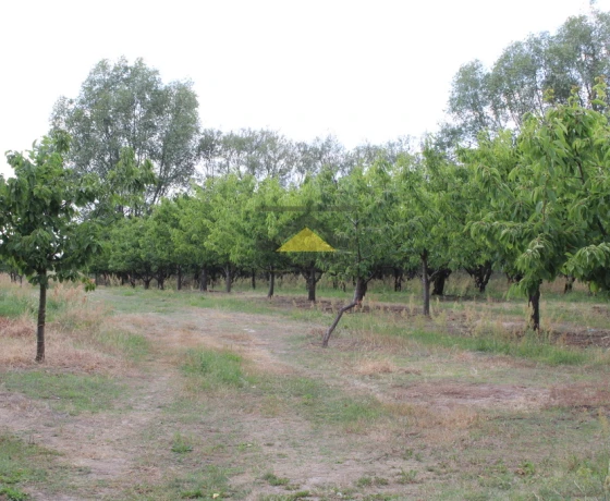 Gorzów Wielkopolski - 100089 zł (nr 974/2639/OGS)