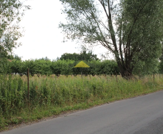 Gorzów Wielkopolski - 100089 zł (nr 974/2639/OGS)
