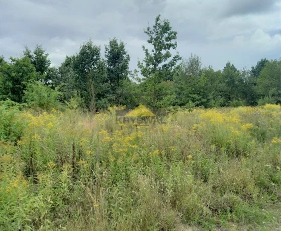 Gorzów Wielkopolski, Chróścik - 100275 zł (nr 978/2639/OGS)