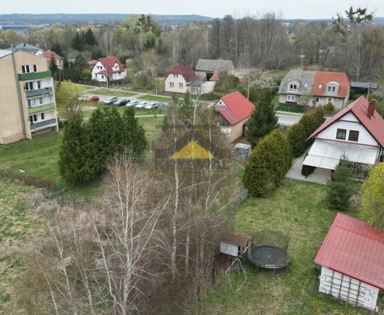 Witnica - 50000 zł (nr 1003/2639/OGS)