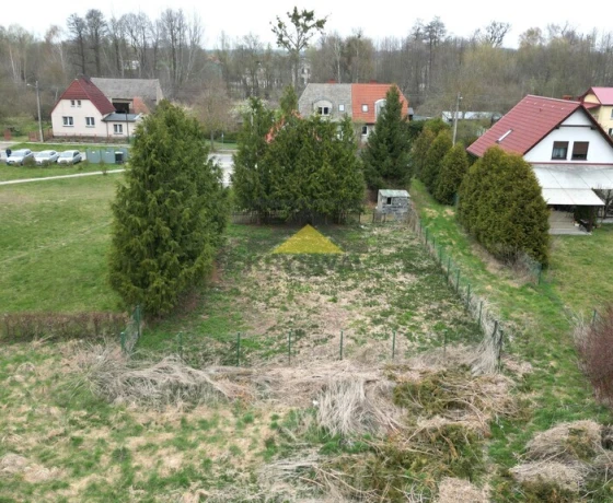 Witnica - 50000 zł (nr 1003/2639/OGS)