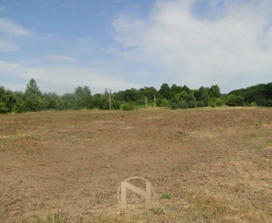 Działka na sprzedaż, Przyłęg - 226 000 zł