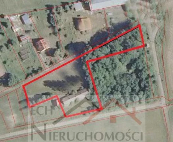 Wysoka - 290000 zł (nr 69/3129/OGS)