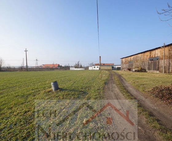 Wysoka - 550000 zł (nr 74/3129/OGS)