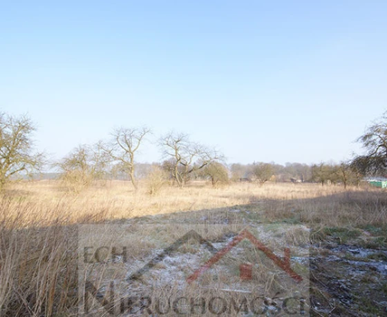 Wysoka - 550000 zł (nr 74/3129/OGS)