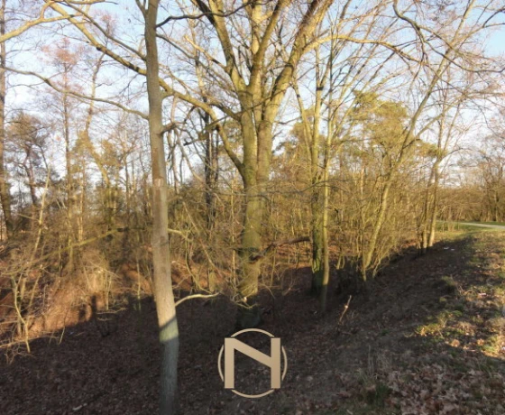 Działka na sprzedaż, Kostrzyn Nad Odrą, Warniki - 75 000 zł