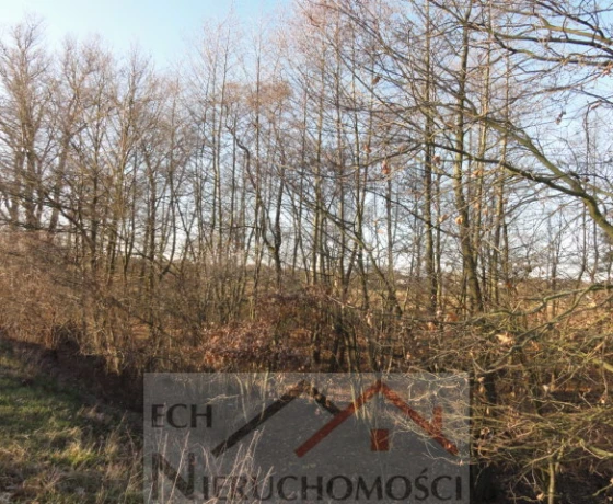Kostrzyn Nad Odrą, Warniki - 75000 zł (nr 108/3129/OGS)