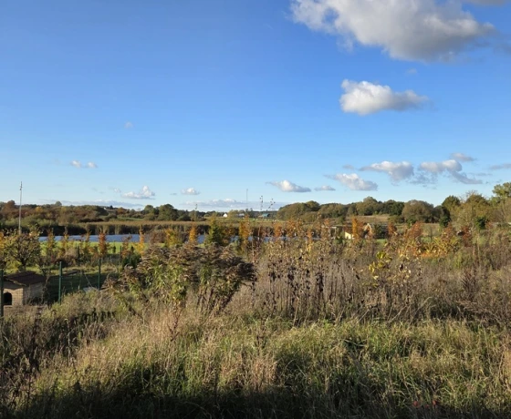 Gorzów Wielkopolski, Os. Piaski - 1950000 zł (nr 539/8967/ODS)