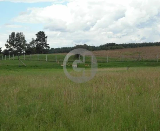 Dobiegniew - 1250000 zł (nr 12/2287/OOS)
