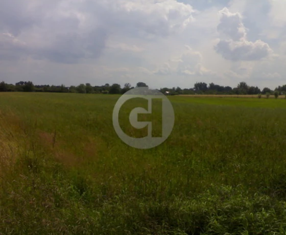 Gorzów Wielkopolski - 4799480 zł (nr 65/2287/OGS)