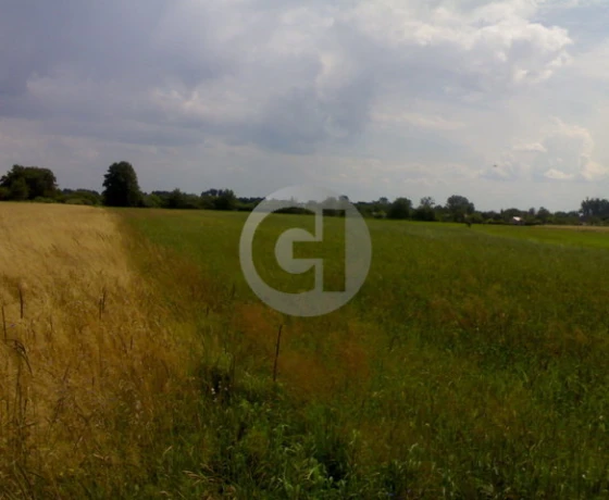 Gorzów Wielkopolski - 4799480 zł (nr 65/2287/OGS)