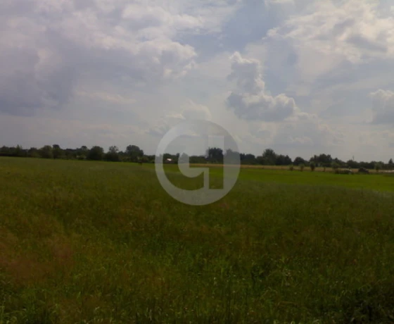 Gorzów Wielkopolski - 4799480 zł (nr 65/2287/OGS)