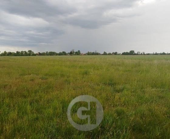 Karnin - 280560 zł (nr 166/2287/OGS)