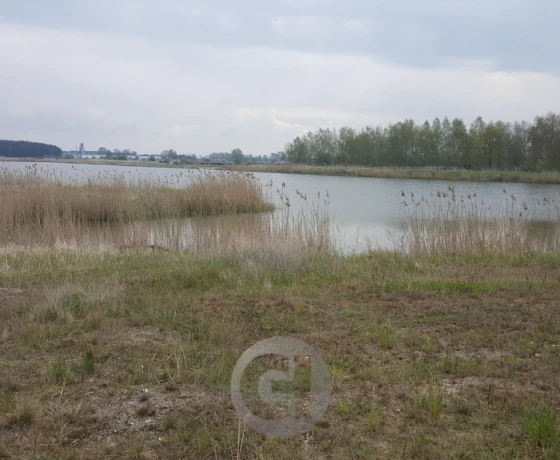Dzierżów - 154000 zł (nr 274/2287/OGS)