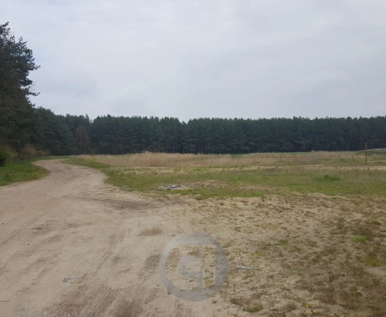 Dzierżów - 154000 zł (nr 274/2287/OGS)