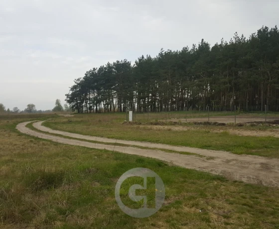 Dzierżów - 154000 zł (nr 274/2287/OGS)