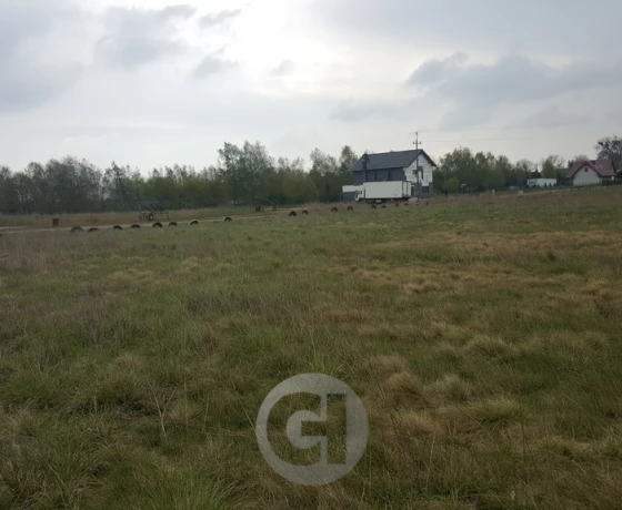 Dzierżów - 154000 zł (nr 274/2287/OGS)