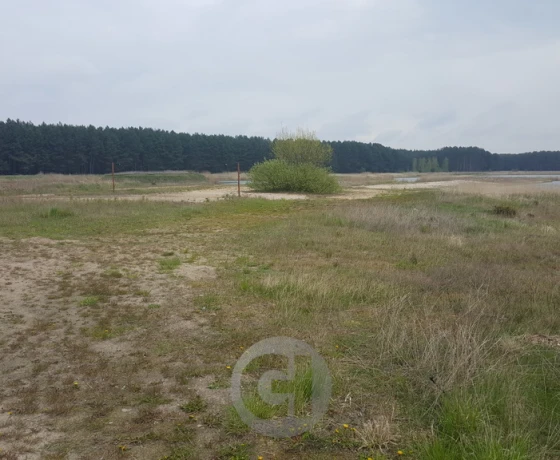 Dzierżów - 154000 zł (nr 274/2287/OGS)