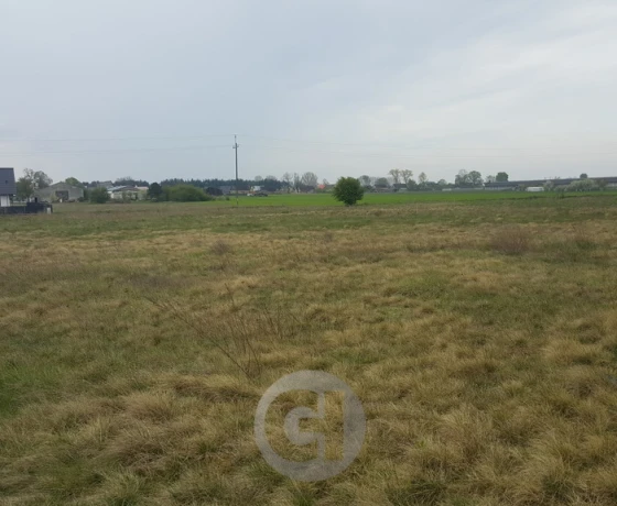 Dzierżów - 154000 zł (nr 274/2287/OGS)