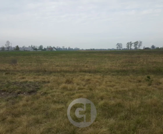 Dzierżów - 154000 zł (nr 274/2287/OGS)
