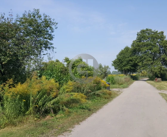 Maszewo - 110000 zł (nr 286/2287/OGS)