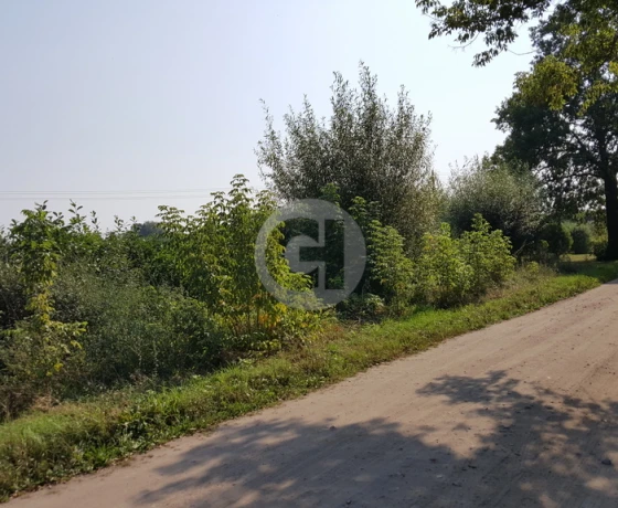 Maszewo - 110000 zł (nr 286/2287/OGS)
