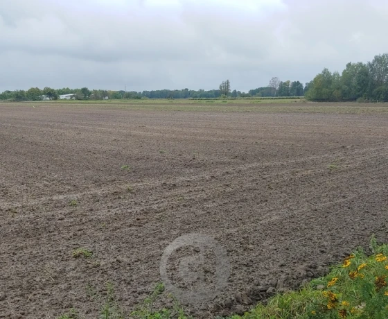 Działka na sprzedaż, Gorzów Wielkopolski, Zieleniec - 290 000 zł