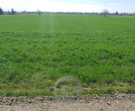 Gorzów Wielkopolski, Zakanale - 150000 zł (nr 331/2287/OGS)
