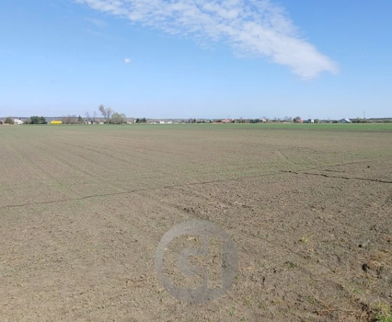 Gorzów Wielkopolski, Zakanale - 150000 zł (nr 331/2287/OGS)
