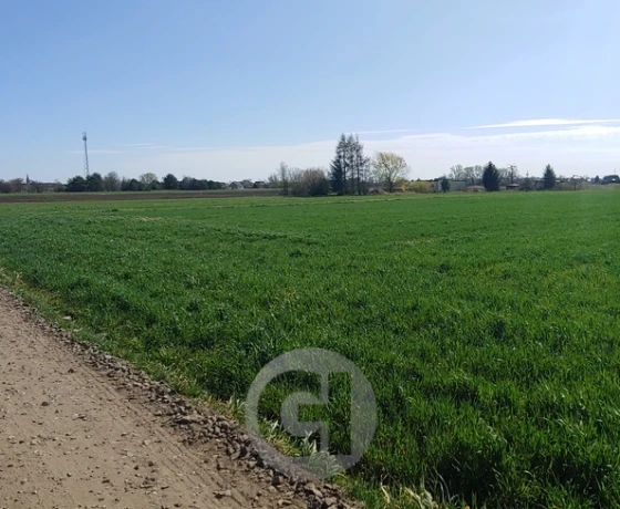 Gorzów Wielkopolski, Zakanale - 150000 zł (nr 331/2287/OGS)