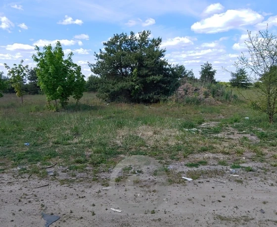 Działka na sprzedaż, Deszczno - 60 000 zł