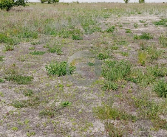Deszczno - 60000 zł (nr 337/2287/OGS)