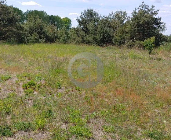 Deszczno - 60000 zł (nr 337/2287/OGS)