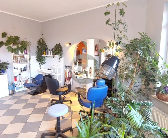 Lubniewice - 1499000 zł (nr 63/2287/OOS)
