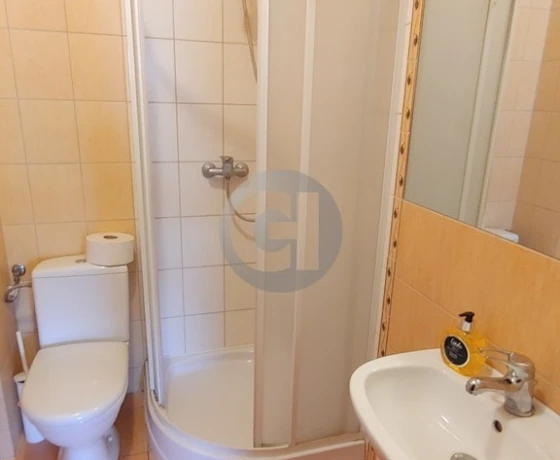 Lubniewice - 1499000 zł (nr 63/2287/OOS)