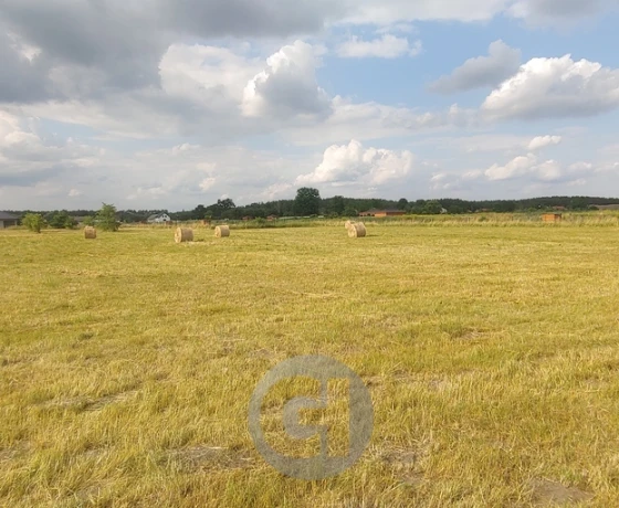 Prądocin - 50000 zł (nr 352/2287/OGS)
