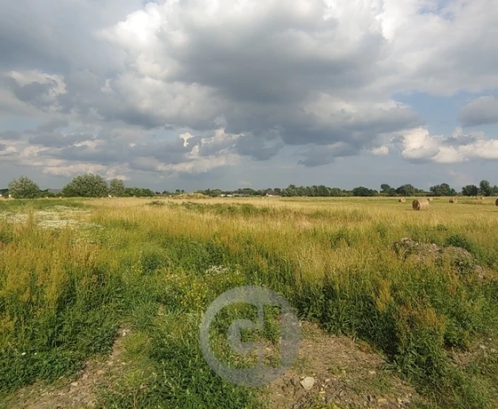 Prądocin - 50000 zł (nr 352/2287/OGS)