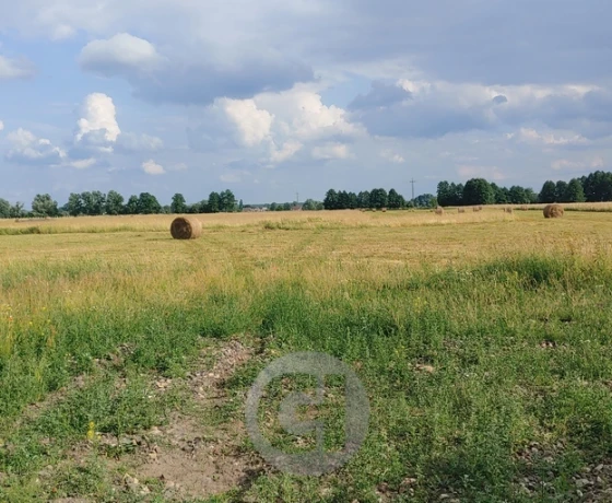 Działka na sprzedaż, Prądocin - 50 000 zł