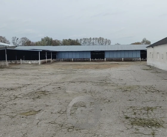 Deszczno - 1900000 zł (nr 66/2287/OOS)