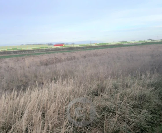 Działka na sprzedaż, Karnin - 265 200 zł