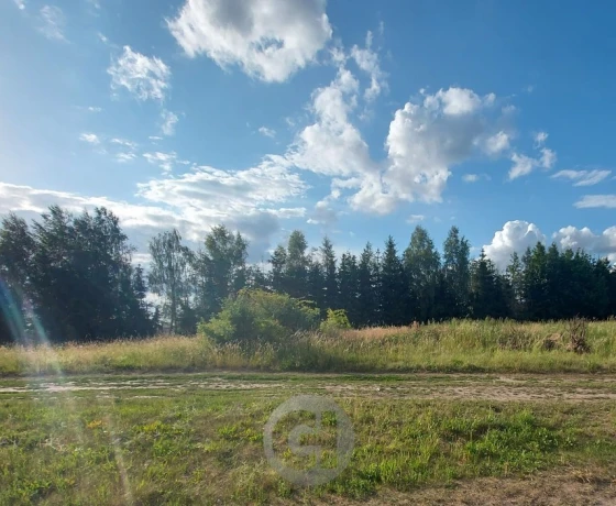 Gorzów Wielkopolski, Zieleniec - 110000 zł (nr 400/2287/OGS)