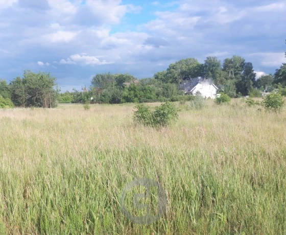Gorzów Wielkopolski, Zieleniec - 110000 zł (nr 400/2287/OGS)