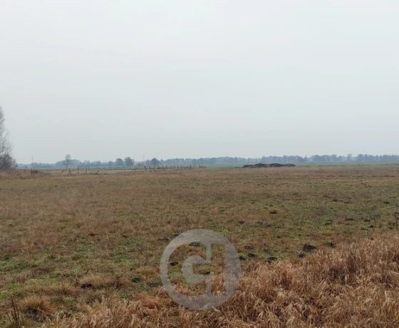 Łagodzin - 86500 zł (nr 423/2287/OGS)