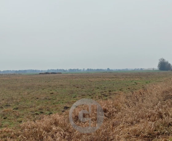 Łagodzin - 86500 zł (nr 423/2287/OGS)