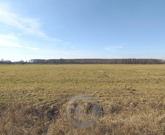Bolemin - 58860 zł (nr 438/2287/OGS)
