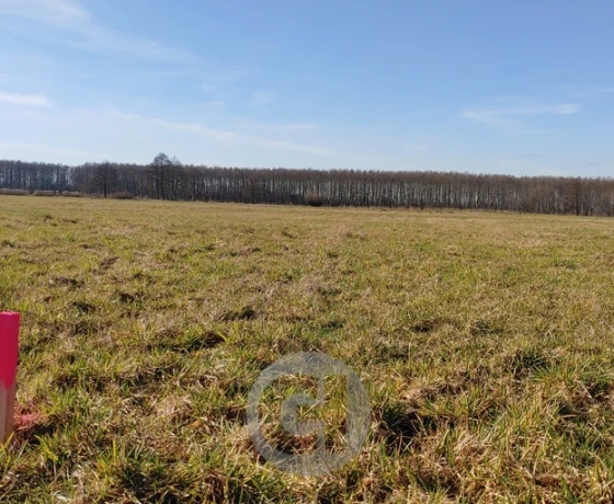 Działka na sprzedaż, Bolemin - 65 715 zł