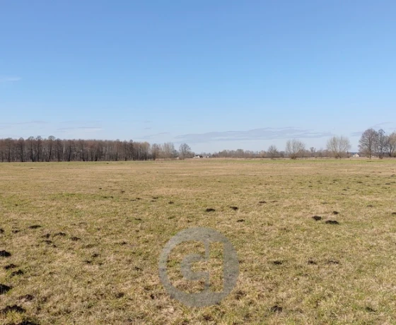 Bolemin - 65715 zł (nr 439/2287/OGS)